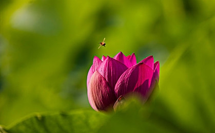 成人快手污｜趣味互动，畅享“成人快手污”欢乐之旅-2