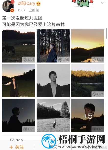 半藏森林梗介绍