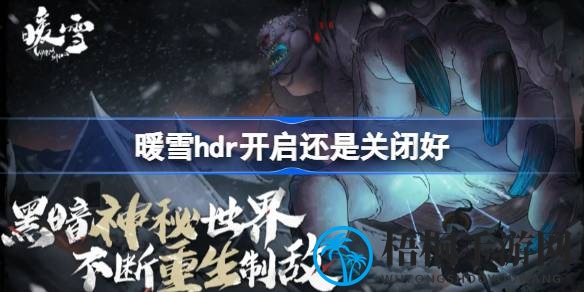 暖雪HDR开关全解析：屏幕选择，视觉盛宴还是负担