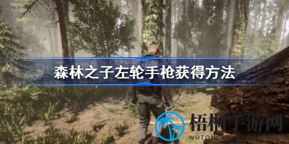 揭秘森林之子：左轮手枪寻宝攻略，雪山之巅藏匿秘籍等你解锁