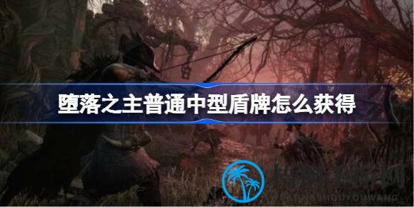 攀登秘境，双宝同获：盾牌与祈祷之光探秘之旅