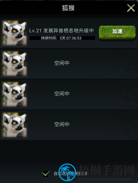 【丛林秘籍】兽王领地小助手：狐猴详解