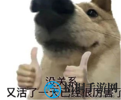 oioioi梗意思介绍