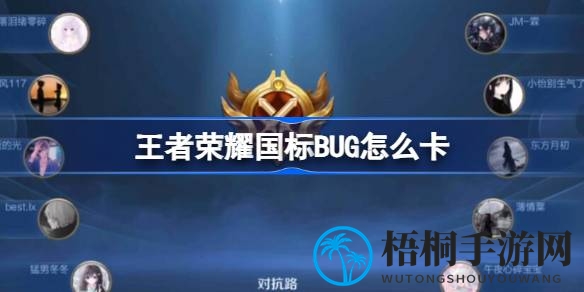 王者荣耀国标BUG破解攻略大揭秘：轻松解决让人头疼的BUG，玩家必看！