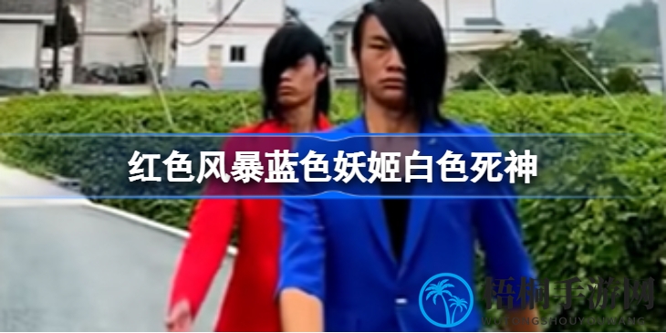 网络热梗揭秘：红蓝双生，风暴与死神之谜